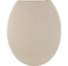 Toilettendeckel aus Kunststoff