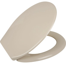 Toilettendeckel aus Kunststoff