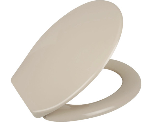 Toilettendeckel aus Kunststoff