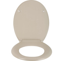 Toilettensitz aus Kunststoff, offene Position