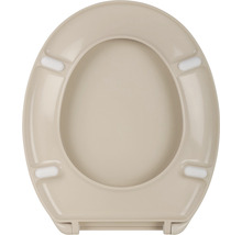 Toilettendeckel aus Kunststoff