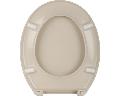 Toilettendeckel aus Kunststoff