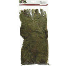 Verpackungseinheit Dekorationsmoos