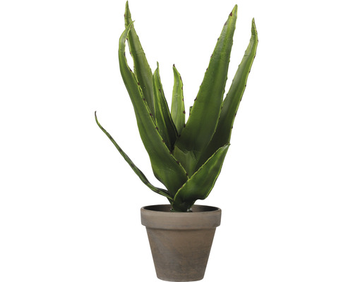 Kunstpflanze Mica Aloe Vera grün im Topf Mica Ø 16 cm H 30 cm Aloe Vera Kunstpflanze im Topf