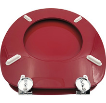 Rote WC-Brille mit Befestigungsmaterial
