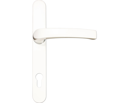 Türgriff mit Langschild