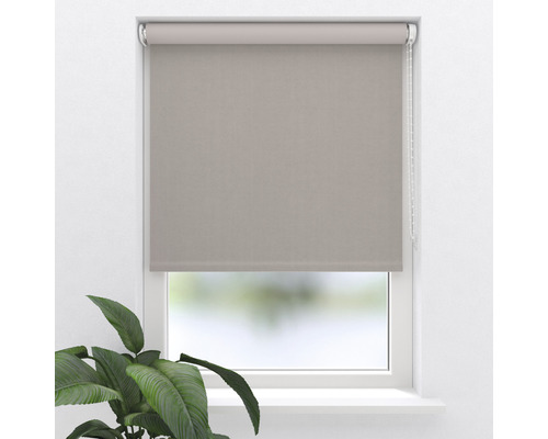 Fenster mit Rollo zur Lichtregulierung