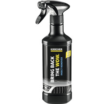 Kärcher Insektenentferner in Sprühflasche