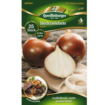 Steckzwiebel Quedlinburger 'Goblin' 25 Stk. frühe Sorte