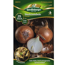 Verpackung Speisezwiebeln der Sorte Crusado, 25 Stück