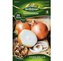 Packung Speisezwiebeln der Sorte Cupido von Quedlinburger