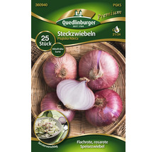 Verpackung mit Steckzwiebeln der Sorte Ptujiska Rdeca