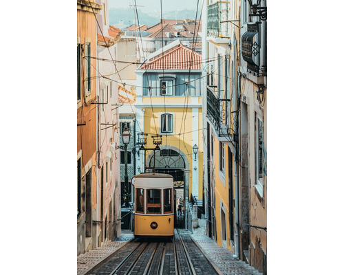 Leinwandbild Lissabon Tram 80x116 cm