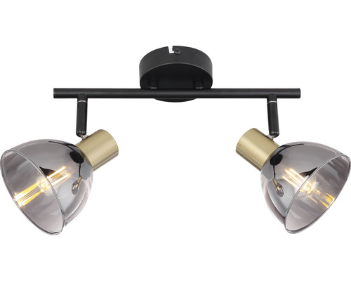 Deckenleuchte mit zwei Strahlern und Glasschirmen