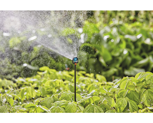 Gartenszene mit Rasensprenger beim Bewässern von Pflanzen