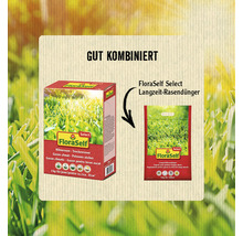 Trockenrasen - Klimarasen FloraSelf Select 1 kg / 35 m²