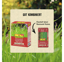 Produktkombination mit Floraself Rasensamen und Rasensand Humus