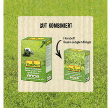 Rasensamen FloraSelf Sport- & Spielrasen 1,2 kg / 48 m²