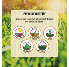 Trockenrasen - Klimarasen FloraSelf Select 1 kg / 35 m²