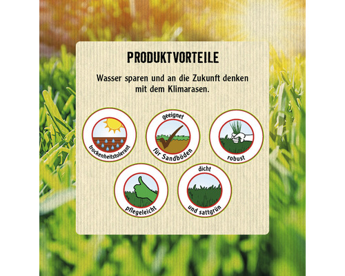 Klimarasen Produktvorteile: trockenheitstolerant, geeignet für Sandböden, robust, pflegeleicht und dicht.