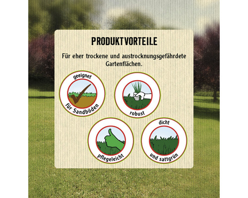 Produktvorteile: Geeignet für Sandböden, robust, pflegeleicht, dicht und sattgrün