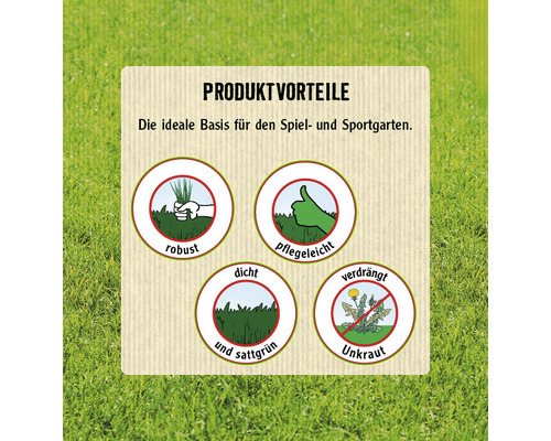 Produktvorteile: Robuste Grasnarbe, pflegeleicht, dichte und sattgrüne Grasfläche, verdrängt Unkraut