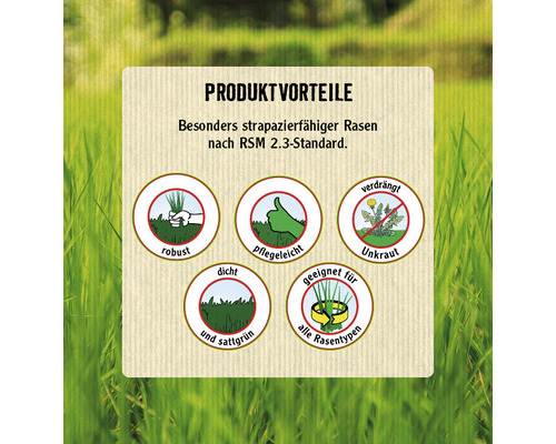 Produktvorteile: besonders strapazierfähiger Rasen nach RSM 2.3-Standard, robust, pflegeleicht, verdrängt Unkraut, dicht und sattgrün, geeignet für alle Rasentypen