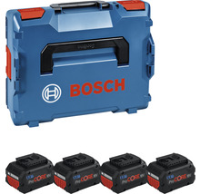 Bosch Sortimo Werkzeugkoffer mit vier 18 Volt Akkus