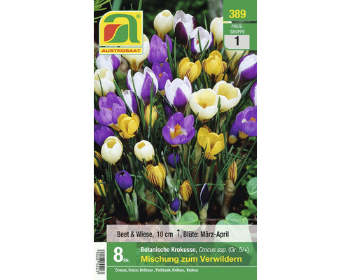 Blumenzwiebel Botanischer 'Mischung zum Verwildern' 8 Stk