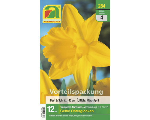 Gelbe Osterglocken Vorteilspackung, 12 Stück Trompeten-Narzissen