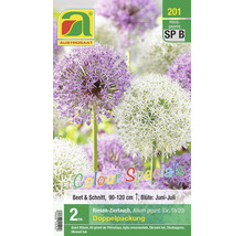 Verpackung mit Riesen-Zierlauch Blumenzwiebeln
