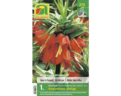 Blumenzwiebel 'Kaiserkrone Orange' 1 Stk