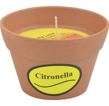Citronella Kerze im Terrakotta Topf