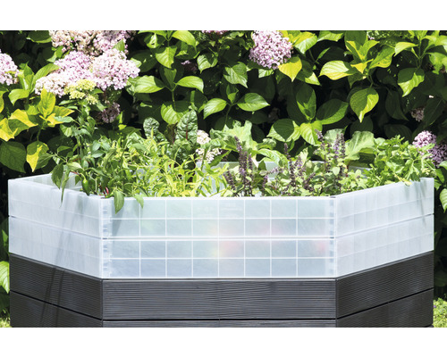 Hochbeet mit Pflanzen im Garten