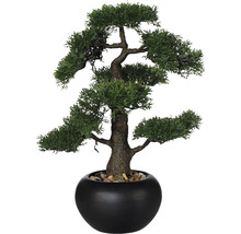 Kunstpflanze Bonsai Zeder Höhe: 48 cm grün