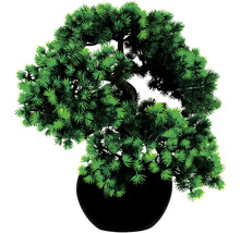 Kunstpflanze Bonsai Lärche Höhe: 37 cm grün