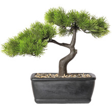 Kunstpflanze Bonsai Lärche Höhe: 23 cm grün