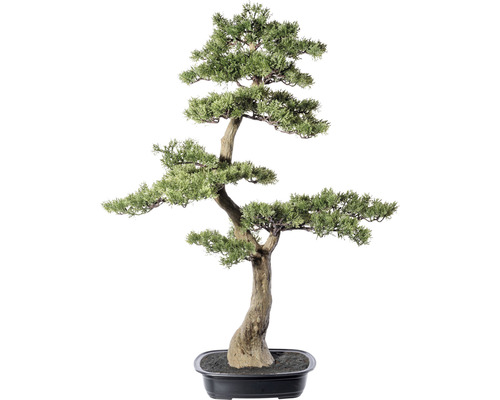 Kunstpflanze Bonsai Zeder Höhe: 100 cm grün