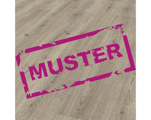 Handmuster zu Laminat Surprise Plus Trend Eiche grau Landhausdiele 1380 x 193 x 7 mm Muster eines Laminatbodens
