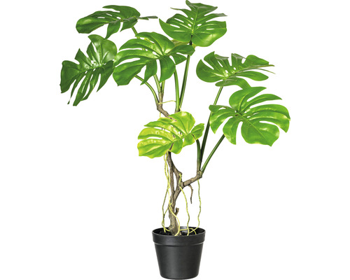 Kunstpflanze Splitphilodendron Höhe: 75 cm grün