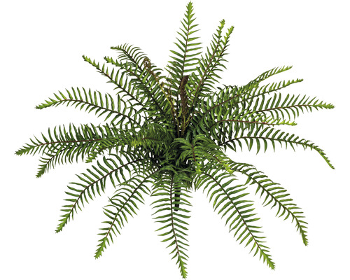 Kunstpflanze Wildfarnbusch Höhe: 45 cm grün