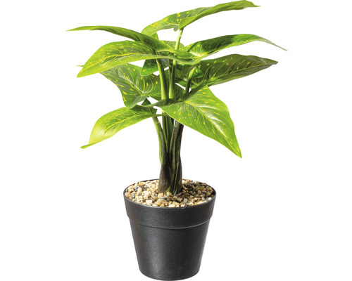 Kunstpflanze Aloscasia Zebrina Höhe: 30 cm grün