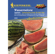 Kiepenkerl Wassermelone Tigrimini Samenpackung