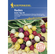Kiepenkerl Logo. Radieschen der Sorte Easter Egg Mix, geeignet für Hochbeete und Kübel.
