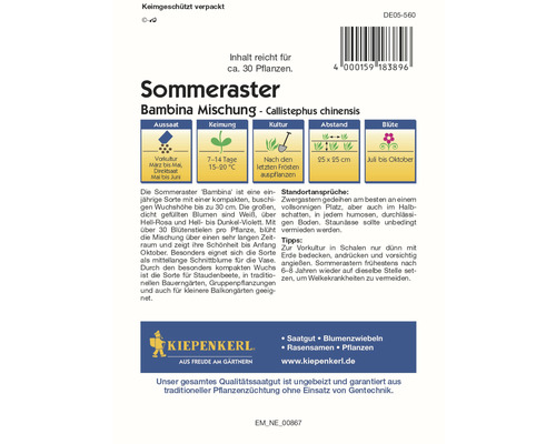 Sommeraster Bambina Mischung Saatgutpackung