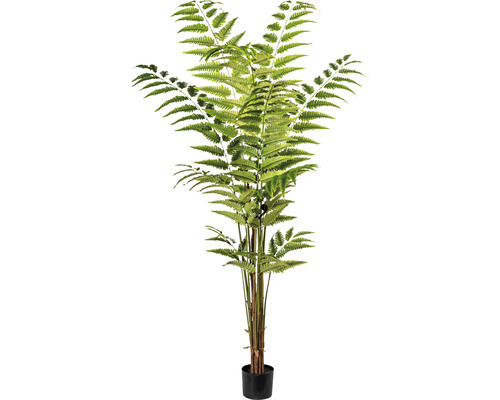 Kunstpflanze Lederfarn Höhe: 180 cm grün