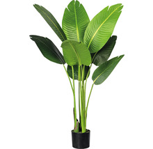 Kunstpflanze Strelitzia Nicolai Höhe: 120 cm grün