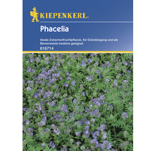 Kiepenkerl Phacelia Samenpackung für Gründüngung und Bienenweide