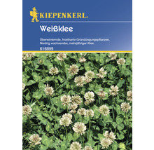 Kiepenkerl Logo, Weißklee Samenpackung