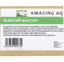 Aquarium Zubehör Glas Cup AMAZING AQUA 6,5 cm x 6,5 cm Pflanzschale transparent